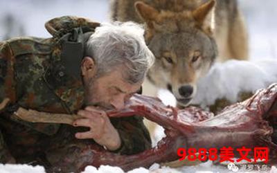 驯狼记TXT_驯养狼群的艰辛历程 驯狼记TXT_驯养狼群的艰辛历程