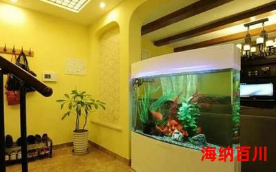 金鱼缸-最新章节 - 金鱼缸 - 免费小说阅读